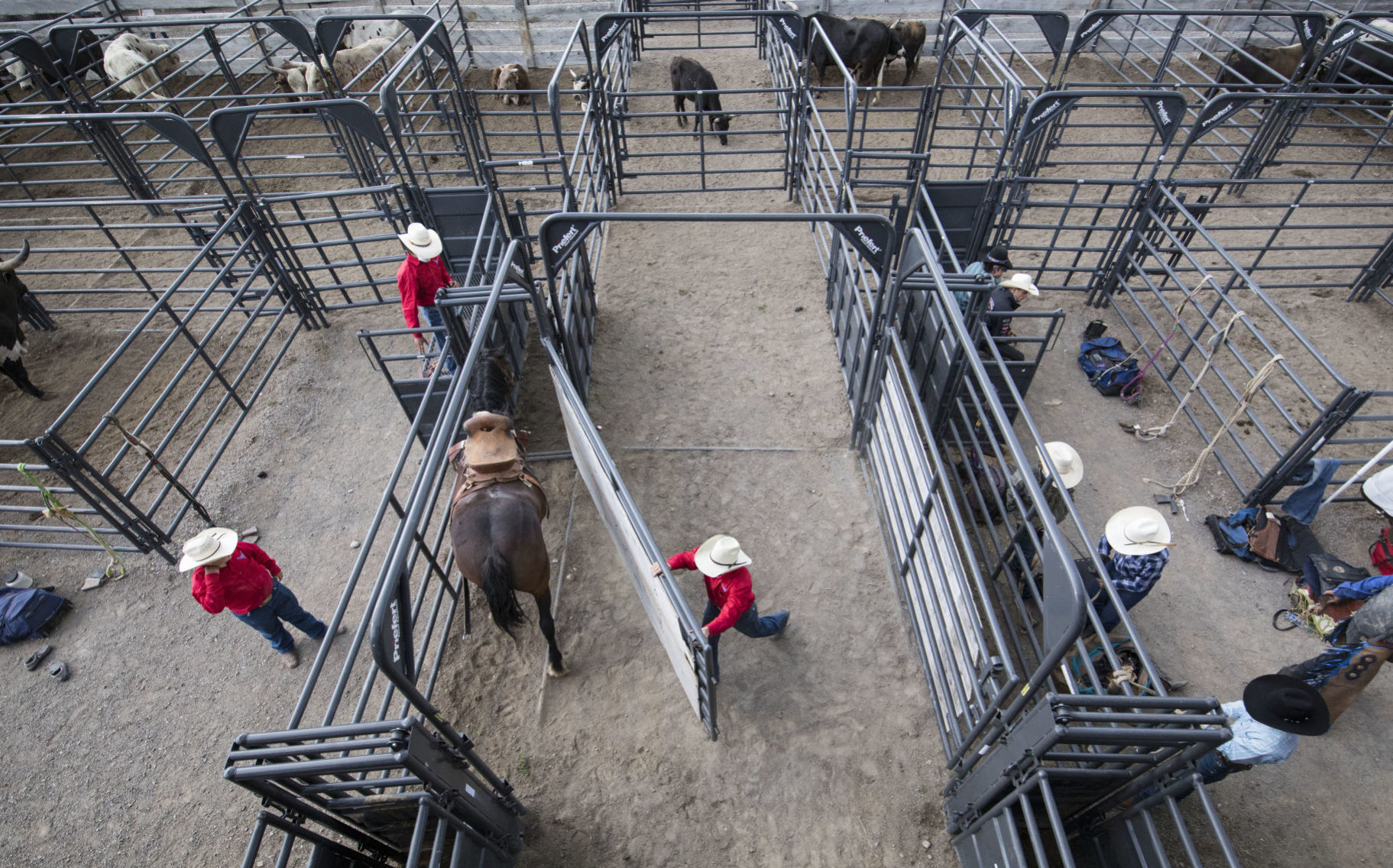 Second weekend of JH Rodeo